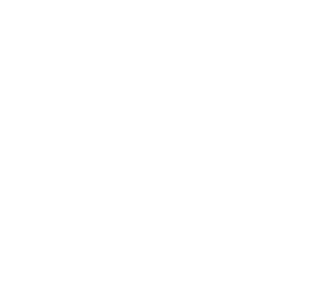 fast to revenue
